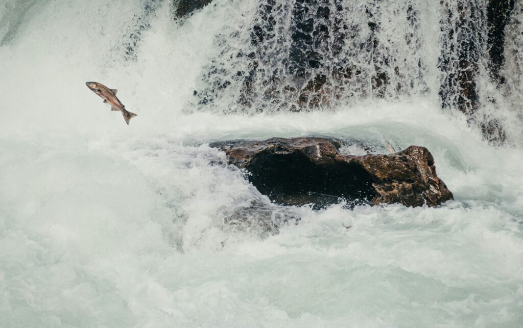 Agile Versus Waterfall: Choosing the Best Approach