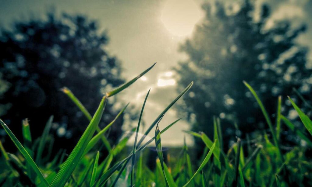 best updates buzzardcoding