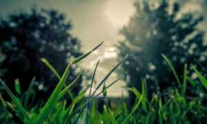 best updates buzzardcoding