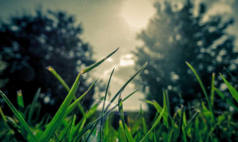 best updates buzzardcoding