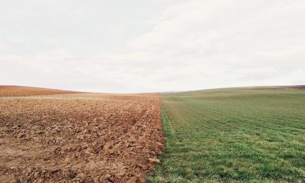 code advice buzzardcoding