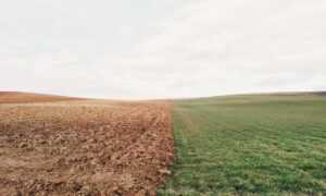 code advice buzzardcoding