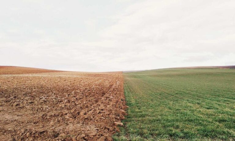 code advice buzzardcoding