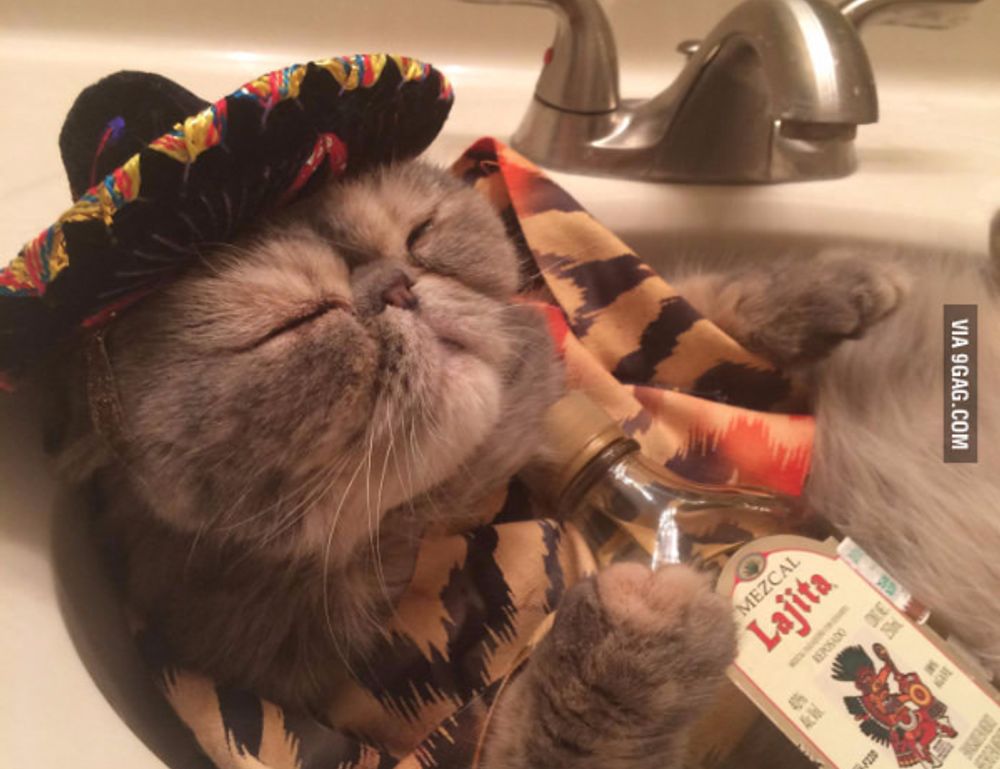 code tips and tricks buzzardcoding