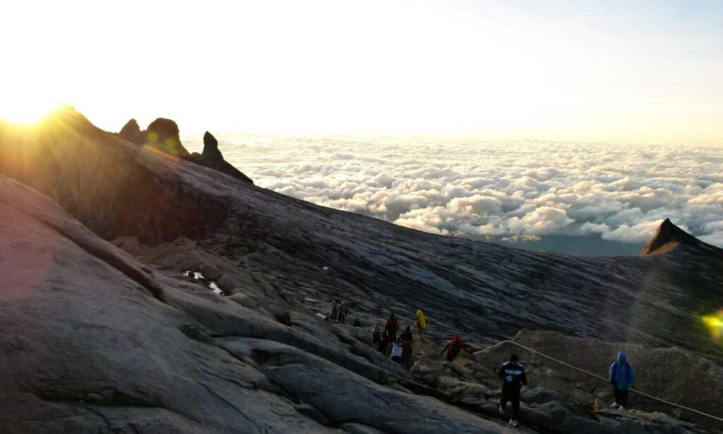 gfxrobotection ai graphics software from gfxmaker