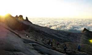 gfxrobotection ai graphics software from gfxmaker