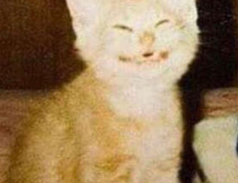 gfxrobotection ai software by gfxmaker