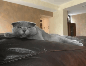 tech trends gfxprojectality