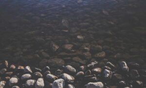 what is 8tshare6a python