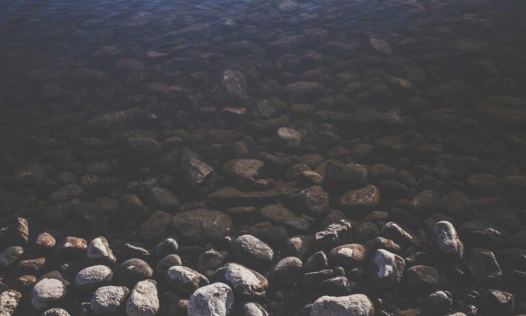 what is 8tshare6a python