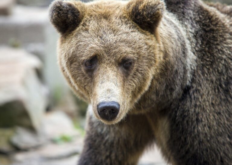 what is 8tshare6a python code