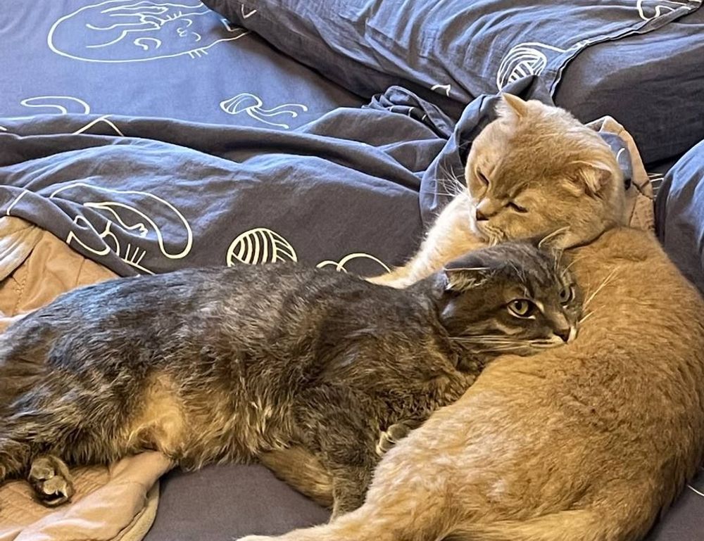 which ipad should i buy for digital art gfxrobotection