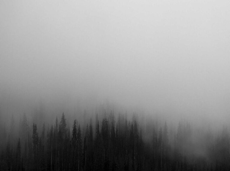 arsenal w.f.c. vs everton f.c. (women) timeline