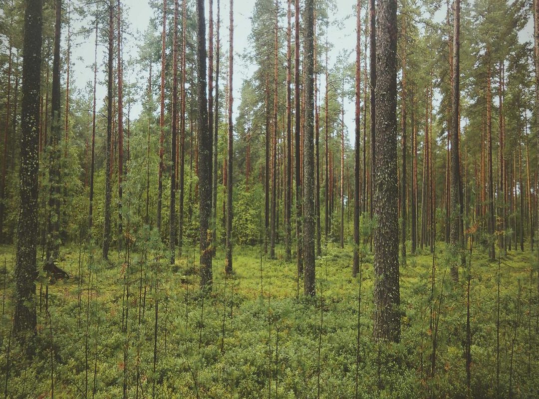 Beyond the Kiss: Creative Ways to Show Morning Love