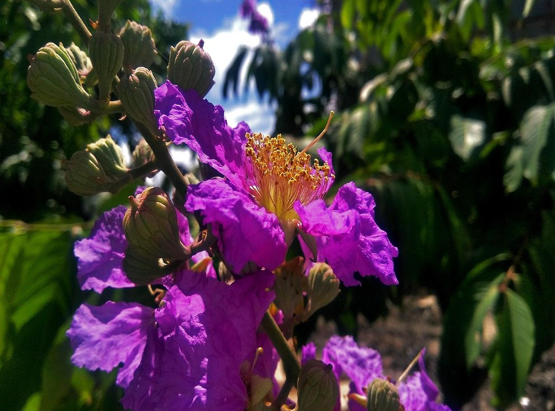 Must-Have Items from the Roblox Avatar Shop