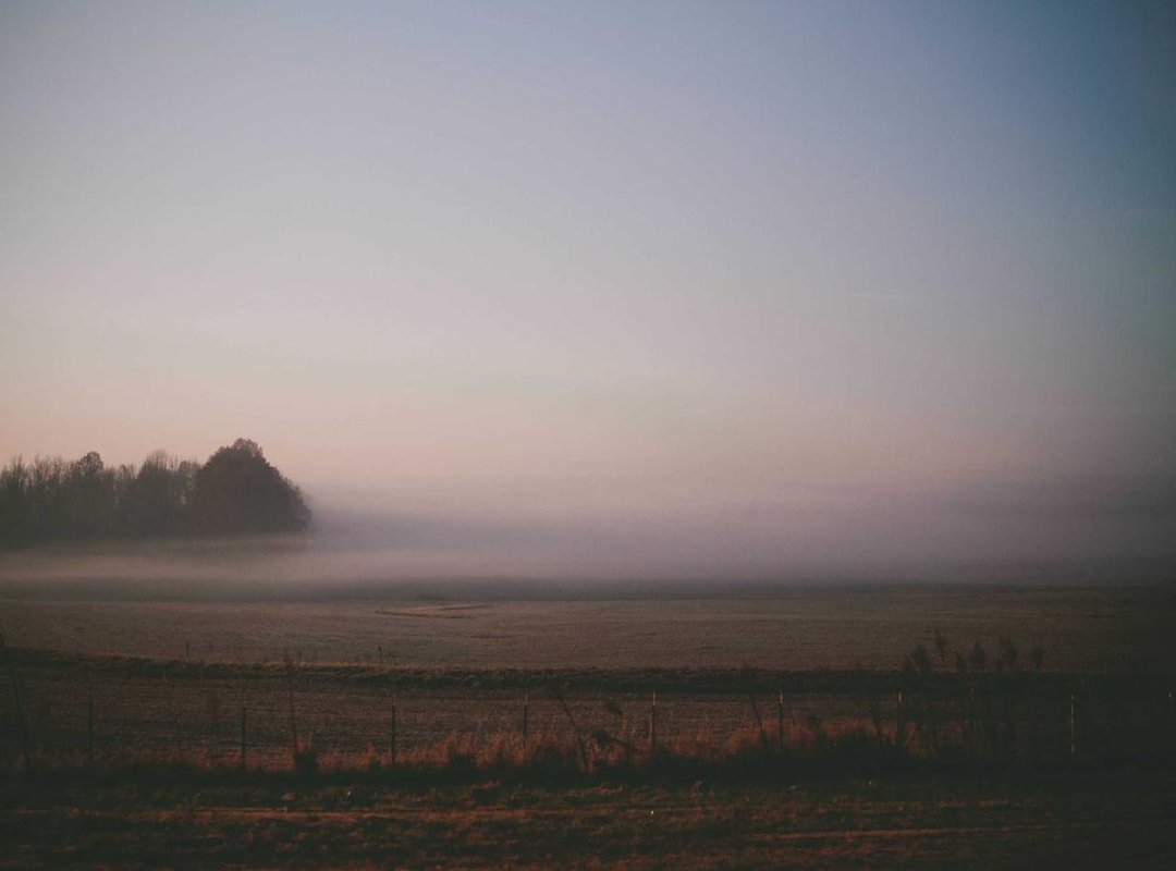 Beyond the Camera: Personal Life and Public Image