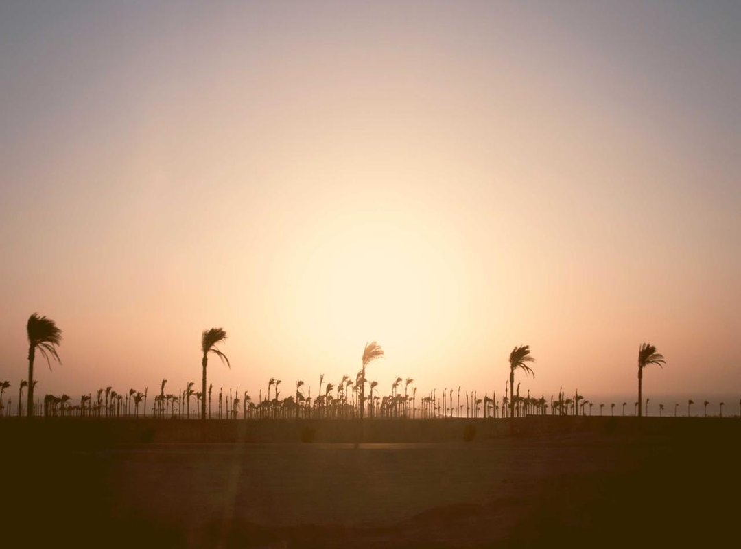 From Bad Play to Viral Meme: The Community Reaction