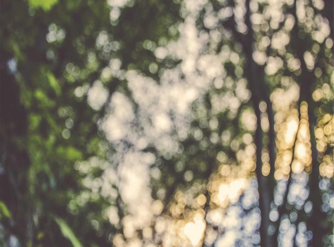 How to Draw a Perfect Preppy Bow: A Step-by-Step Tutorial