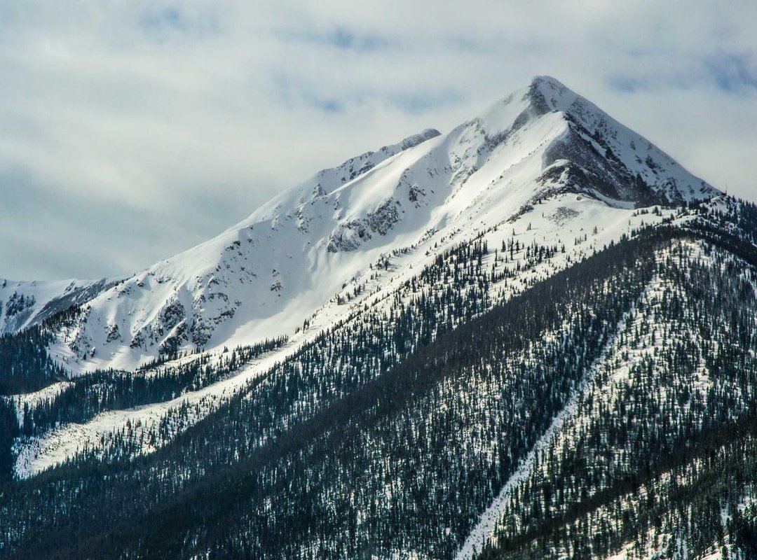 Troubleshooting: Common Errors and How to Fix Them