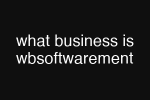 what business is wbsoftwarement